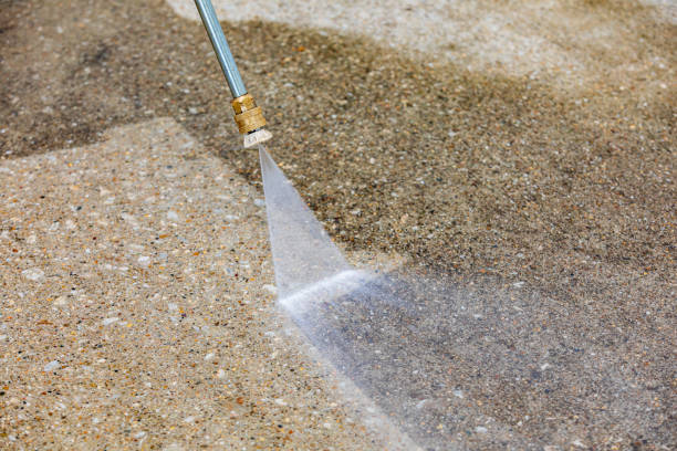 Best Pool Deck Cleaning  in Goulding, FL
